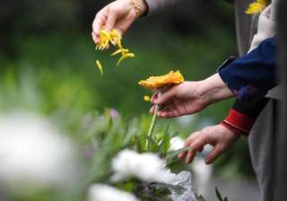 多因素共振 我国殡葬服务行业质量、数量“全面开花” 市场刚需属性突出