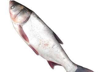 2025310.19/ 2.2% 3.8%