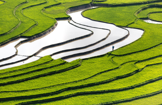 我国及部分省市高标准农田行业相关政策：优化高标准农田建设空间布局和时序安排