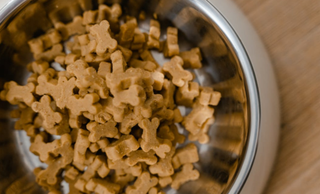 我国宠物食品稳居宠物经济第一大细分市场 行业集中度较低但国产崛起趋势明朗