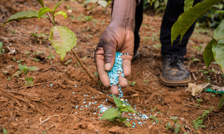 环保趋严下车用领域成我国尿素行业增长点 目前市场企业较为分散