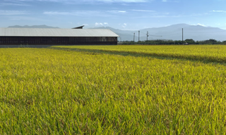 深入实施智慧农业行动计划【附我国及各省份智慧农业行业相关政策】