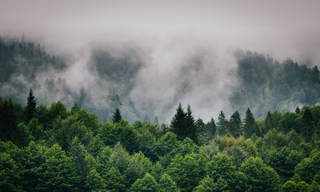 我国智慧环保行业正处转型升级阶段 市场规模稳增长 资本市场逐年降温