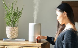 国补刺激我国家用空气净化器行业消费回暖 产品高端化、智能化比例稳步提升