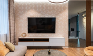 我国彩电企业成为全球主要力量 中韩厂商各自引领不同技术路线