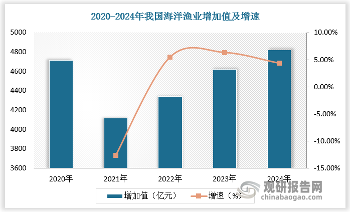 海洋渔业指通过在海洋中捕捞、采集和养殖水生动植物获得水产品的一类生产活动。近年来，我国海洋渔业增加值稳步提高，2021-2024年由4117亿元增长至约4820亿元。海洋渔业是国内海洋经济第三大细分市场。2024年，我国海洋渔业增加值占海洋产业增加值的比重达11.2%，仅次于海洋旅游业（36.90%）和海洋交通运输业（18.70%）。