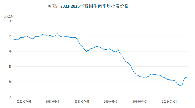 2024 年 12 月 27 日，商务部发布公告，决定对进口牛肉进行保障措施立案调查，旨在深入剖析进口牛肉对国内市场的冲击程度，若证实过度进口损害国内产业，将采取相应限制措施。这不仅能够缓解市场供需失衡的局面，为国产牛肉腾出发展空间，还能助力国内肉牛产业在 “喘息期” 调整结构、提升竞争力。未来，随着国内政策落地，肉牛产业迎希望之光，牛肉价格或将逐渐回升。