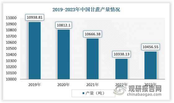 尽管面临一些挑战，但甘蔗产业并未停滞不前。相反，通过不断的技术创新和产业调整，甘蔗产量在2023年实现了回升。据统计，2023年度中国甘蔗产量达到了10456.55万吨，相较于2022年增加了118.42万吨，同比增长了1.15%。