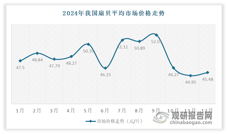 2024年，我国扇贝平均市场价格为48.31元/千克，同比增长9.82%。分月度来看，2023年全年扇贝价格同比均高速增加。2024年以来，上半年扇贝价格仍然保持了较快增长势头，但6月价格出现了显著下降，降幅超过8%，而进入三季度则重新开始增加，且9月创全年价格新高，达52.01元/千克。第四季度又出现了大幅下降，至年底稳定在45元/千克左右。总体上看，2024年上半年扇贝价格延续增加，下半年则出现明显波动。