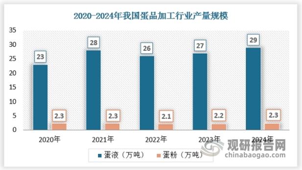 随着消费者对高品质蛋制品需求的增加，以及政府对农产品深加工行业的扶持，中国蛋品加工行业的加工产能规模也在不断扩大。许多蛋品加工企业纷纷引进先进的生产线和自动化设备，提高生产效率和产品质量，同时降低生产成本。此外，一些企业还通过技术创新和产品研发，推出了一系列符合消费者需求的新产品，进一步提升了市场竞争力。2024 年我国液体蛋制品总产量约29万吨，蛋粉总产量约 2.3万吨。