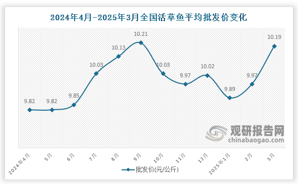 数据显示，近十二月全国白链活鱼平均批发价呈先升后降再升趋势。2025年3月全国白链活鱼平均批发价为10.19元/公斤，环比增长2.2%，同比增长3.8%。
