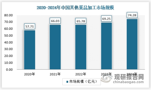 蛋制品是鲜蛋经过专业加工得到的产品，可以阻断肠道致病菌的传输，保障用户用蛋的安全性，提高用户用蛋的灵活性，并减少用户打蛋和对蛋液、蛋壳的处理负担。从形态上划分，蛋制品可分为蛋液、蛋粉、蛋类饮品、功能提取物及其它类。2024年国内其他蛋品加工市场规模约为74.28亿元，具体如下：