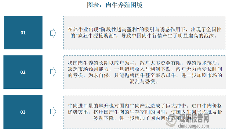 此外，牛肉进口量的飙升也对国内牛肉产业造成了巨大冲击。进口牛肉价格优势突出，挤压国产牛肉生存空间的同时，使国内牛肉平均批发价波动下降，进一步增加了国内肉牛养殖的压力。