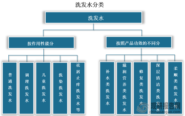 洗发水种类很多，按作用性能可分为普通冼发水、调理洗发水、儿童洗发水以及洗染洗发水、祛屑止痒洗发水等。按照产品功效的不同，洗发水产品可分为补水类洗发水、滋润营养类洗发水、修复类洗发水、深层清洁类洗发水及柔顺类洗发水等多个类型。目前，我国洗发水市场中，补水类、滋润营养类和修复类洗发水占据绝大多数市场份额，2023年合计市场规模占比达到近50%。