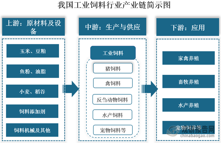 工业饲料是指经工业化加工、制作的供动物食用的饲料（饵料），是支撑养殖业发展的重要基石，在国民经济发展中的重要作用。我国工业饲料行业起步于20世纪70年代，经过几十年的发展，目前行业已形成较为完善的产业链条，从原材料供应到产品生产，再到最终应用，各个环节都在不断优化升级。具体来看，我国工业饲料行业上游主要为原材料和设备，包括玉米、豆粕、小麦、稻谷、饲料添加剂和饲料机械等；中游为工业饲料生产与供应，已形成覆盖猪、禽、反刍动物、水产及宠物等的多元饲料产品矩阵；下游为应用领域，包括家禽养殖、畜牧养殖、水产养殖、宠物饲养等领域。