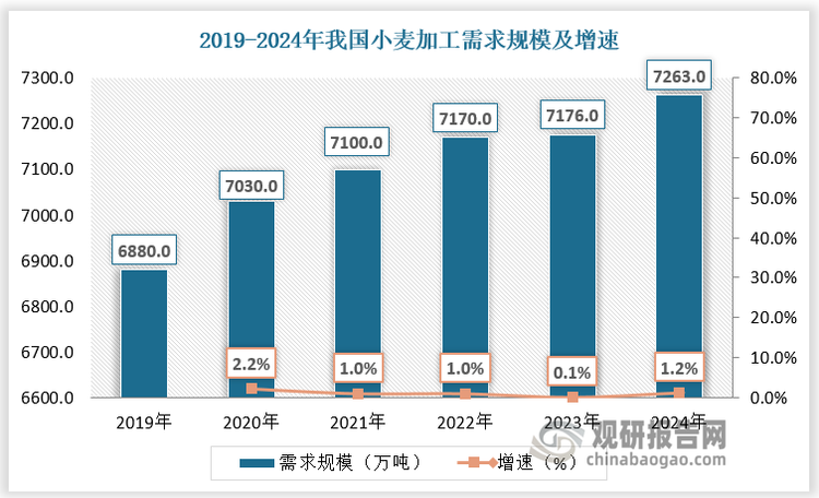 我国是发展中国家，人均主食消费量相对较多；近年来，随着消费习惯西化、城市化进程及生活节奏日益加快，面包、蛋糕、甜甜圈、甜点和方便面等小麦粉制品消费增加，尤其是西式的面包和意式面食。在小麦消费基础良好和消费者需求多样化的背景下，我国小麦加工需求规模呈现增长态势。根据数据，2019-2024年我国小麦加工需求由6880万吨增长至7263万吨。