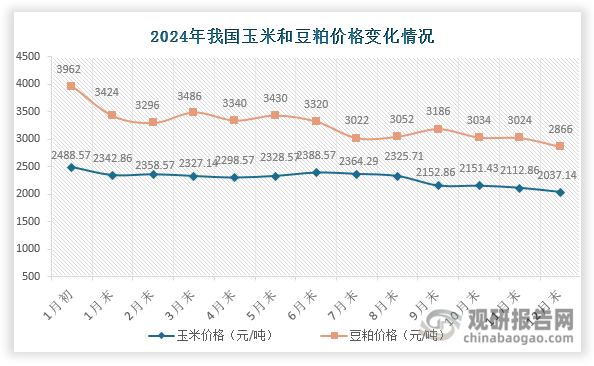玉米和豆粕是工业饲料生产的主要原材料，基于“玉米+豆粕”作为工业饲料的能量与蛋白优质组合在我国得到广泛应用。2024年受种植成本下降等因素影响，玉米和豆粕价格整体走低，12末分别降至2037.14元/吨和2866元/吨，较年初分别下跌18.14%和27.66%，带动工业饲料价格同步下调。