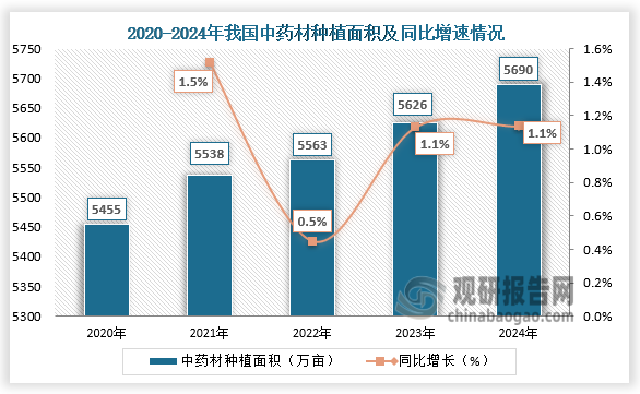 中药材种植面积来看，中药材是中医药的源头，当前我国中药材的供应能力持续提高，生产布局进一步优化。2020-2024年，我国中药材种植面积保持在五千万亩左右。2024年我国中药材种植面积约5690万亩，同比增长1.1%。