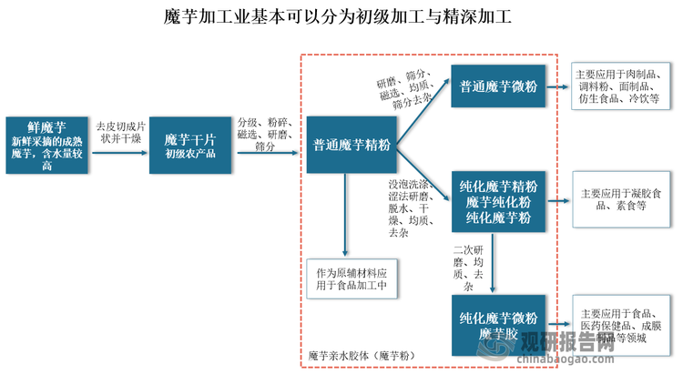 魔芋加工是保证丰产丰收的主要环节，其加工过程主要是烘干技术。魔芋加工业基本可以分为初级加工与精深加工。